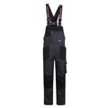 DPSTRETCHP, WORKWEAR BIBPANTS PESSO STRETCH, GREY